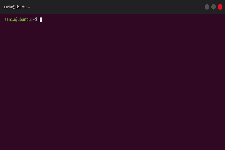 Linux: curl install, then decoded start