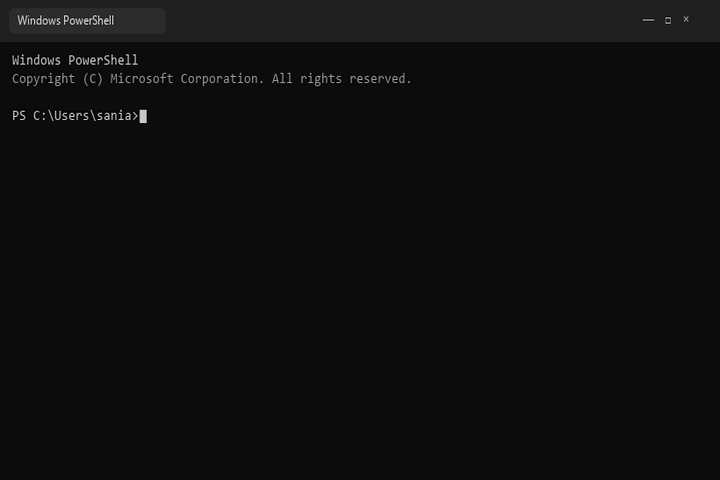 Windows: irm install, then decoded start
